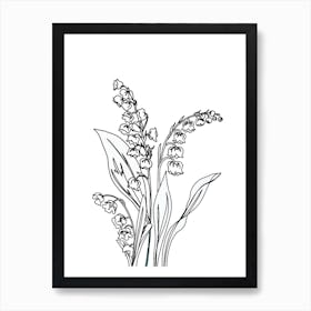 Lily Of The Valley Drawing Art Print