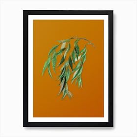 Vintage Babylon Willow Botanical on Sunset Orange n.0276 Art Print
