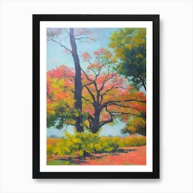 Spanish Oak Tree Watercolour Art Print