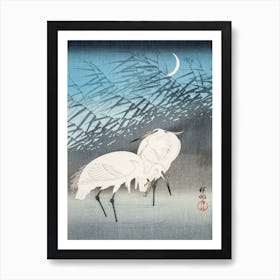 Egrets And Reeds In Moonlight Art Print