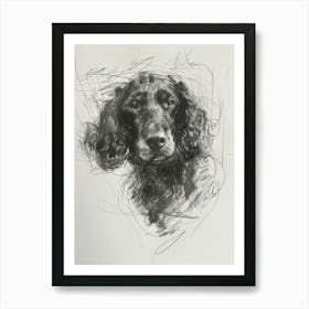 American Water Spaniel Dog Charcoal Line 3 Art Print