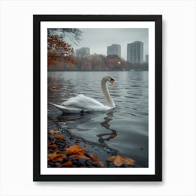 Swan In The Park 2 Art Print