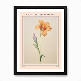 Lily 3 French Flower Botanical Poster Art Print