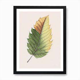 Ash Leaf Warm Tones Art Print