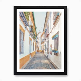 Cordoba Street Art Print