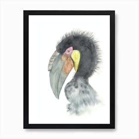 Hornbill bird Art Print