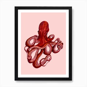 Octopus On Pink Art Print