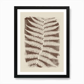 Brown Fern, Botanical Art, Minimalist, Cottage Core Art Print