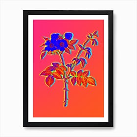 Neon White Flowered Rose Botanical in Hot Pink and Electric Blue n.0128 Art Print