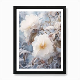 Frosty Botanical Camellia 6 Art Print