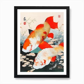 Shusui Koi Fish 1 , Ukiyo E Style Japanese Art Print