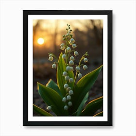 Lily Of The Valley 22 Art Print