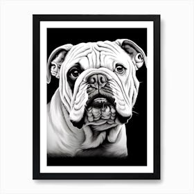 Bulldog Dog, Line Drawing 3 Art Print