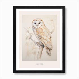Vintage Bird Drawing Barn Owl 3 Poster Art Print
