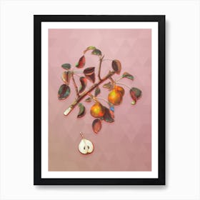 Vintage Seckel Pear Botanical Art on Crystal Rose n.0239 Art Print