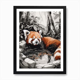 Red Panda Relaxing In A Hot Spring Ink Illustration 2 Art Print