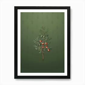 Vintage Common Juniper Botanical on Lunar Green Pattern n.0843 Art Print