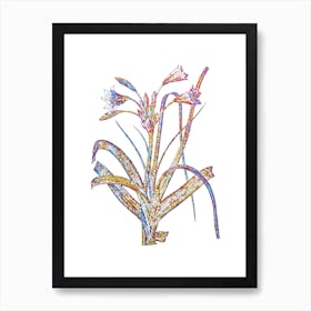 Stained Glass Malgas Lily Mosaic Botanical Illustration on White n.0303 Art Print