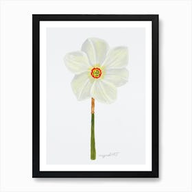 Daffodil Art Print