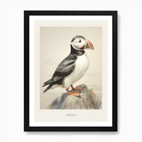 Vintage Bird Drawing Pigeon 5 Poster Art Print