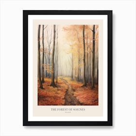 Autumn Forest Landscape The Forest Of Soignes Belgium Poster Art Print