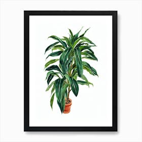 Corn Plant (Dracaena Fragrans) Watercolor Art Print