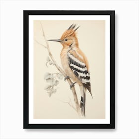 Vintage Bird Drawing Hoopoe 2 Art Print