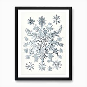 Irregular Snowflakes, Snowflakes, Vintage Botanical Illustration 3 Art Print