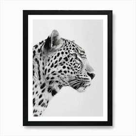 Leopard Head Portrait Art Print