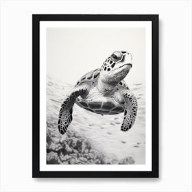 Detailed Black And White Sea Turtle Illustration Art Print