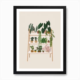 Plant Shelf Art Print