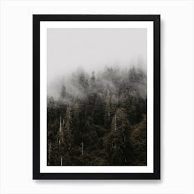 Misty Forest Scenery Art Print