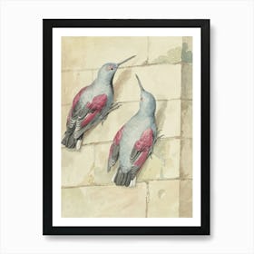 Vintage Hummingbirds Art Print