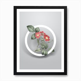 Vintage Redleaf Rose Minimalist Floral Geometric Circle on Soft Gray n.0101 Art Print