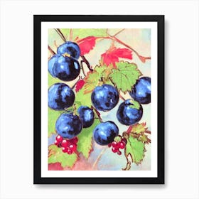 Blackcurrant 1 Vintage Sketch Fruit Art Print
