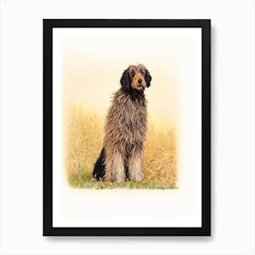 Bergamasco Sheepdog Illustration Dog Art Print