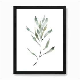 Watercolor Leaf, Olive Branch 2 Art Print