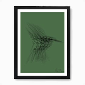 Colibri007 Art Print