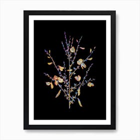 Stained Glass Yellow Broom Flowers Mosaic Botanical Illustration on Black Art Print