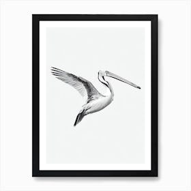 Pelican B&W Pencil Drawing 4 Bird Art Print