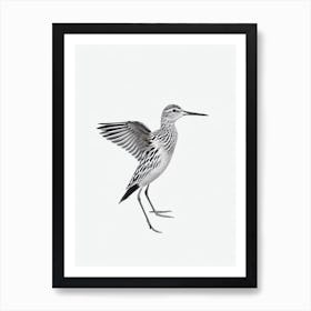 Dunlin B&W Pencil Drawing 1 Bird Art Print