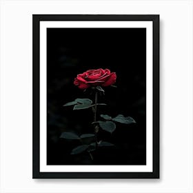 Dark Rose 151 Art Print