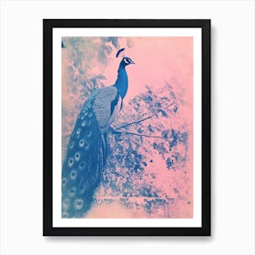 Pink & Blye Peacock In A Tree Cyanotype Inspired 1 Art Print