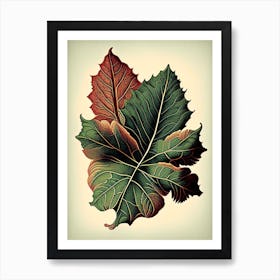 Achiote Leaf Vintage Botanical 1 Art Print