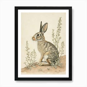 Tan Rabbit Drawing 1 Art Print