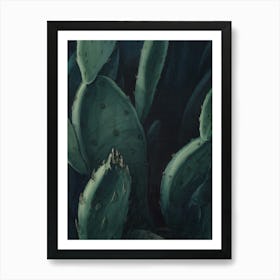 Floral Cactus Wall Art Print Art Print