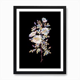 Stained Glass White Burnet Roses Mosaic Botanical Illustration on Black n.0075 Art Print