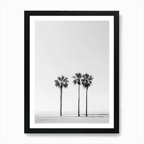 Three Palm Trees On The Beach Art Print