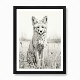 Tibetan Sand Fox In A Field Pencil Drawing 2 Art Print