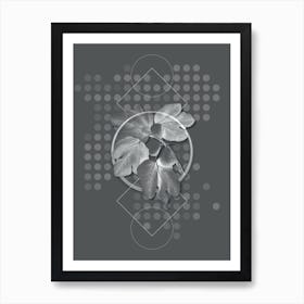 Vintage Common Fig Botanical with Line Motif and Dot Pattern in Ghost Gray n.0272 Art Print